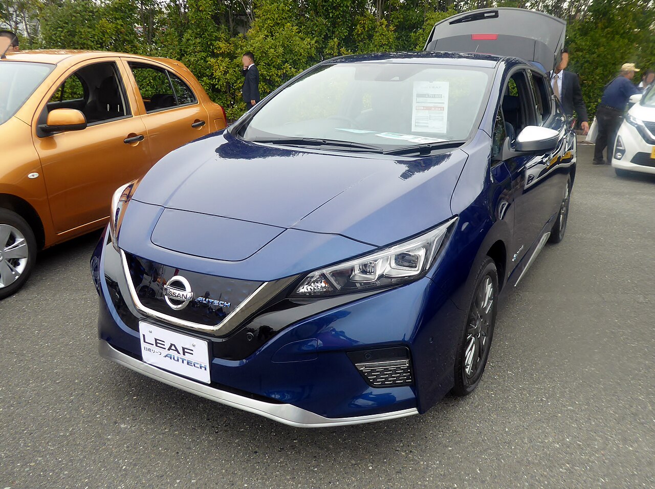 Nissan Leaf Plus (used)
